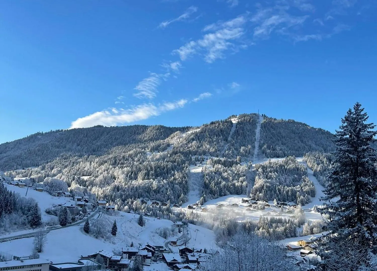 The White Bear - Appartement Spacieux Et Confortable La Clusaz Apartment